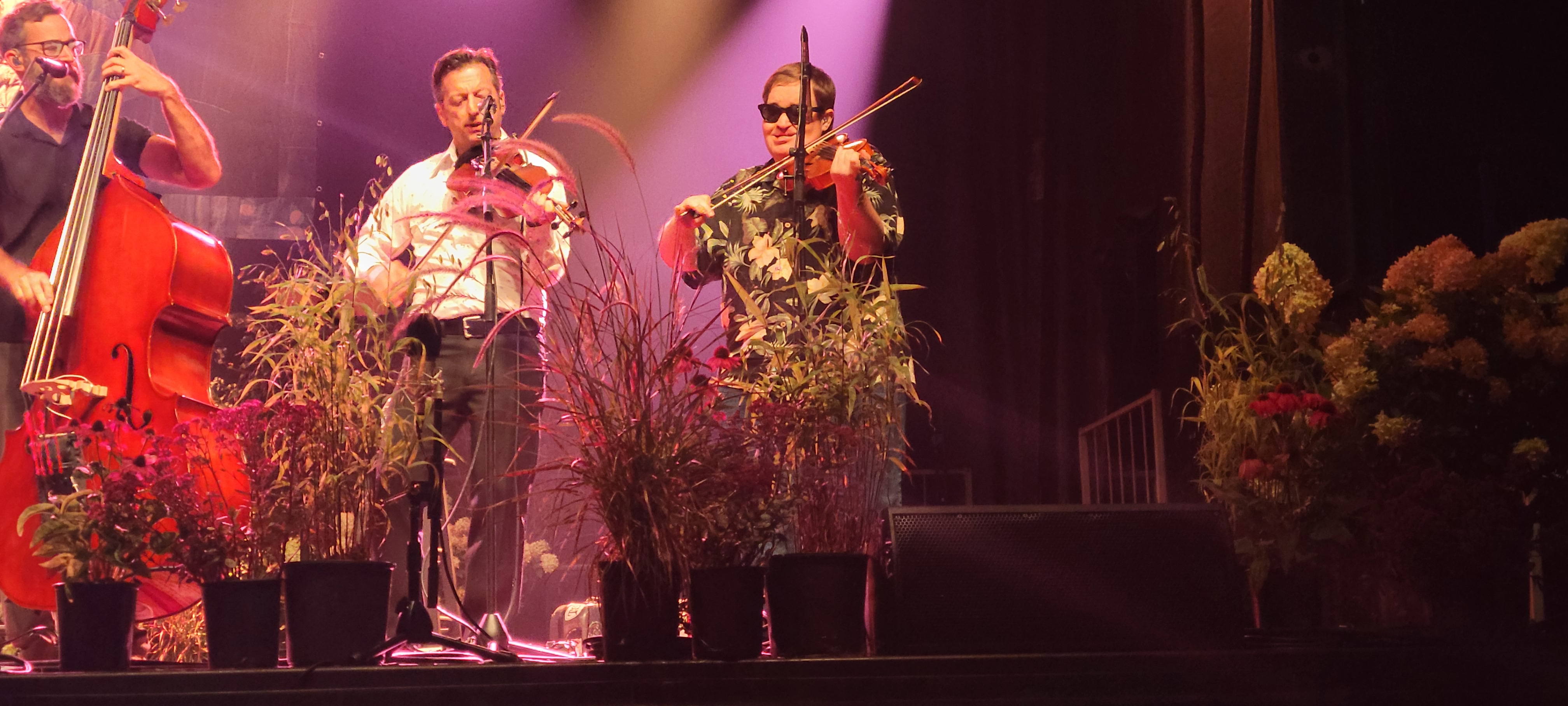 TravelinMcCourys2024-08-16GreenMountainBluegrassAndRootsFestivalManchesterVT (3).jpg